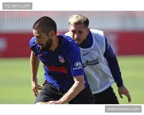 科雷亚伤病影响